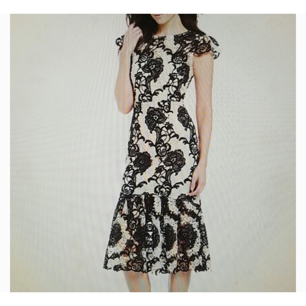 Antonio Melani Floral Lace Dress Size 10